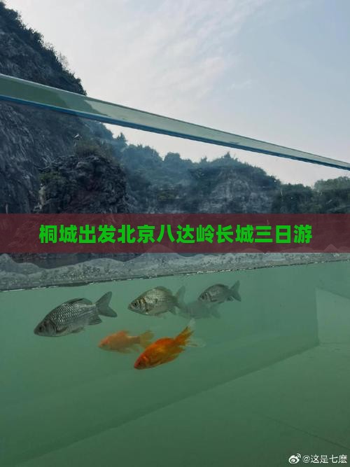 桐城出发北京八达岭长城三日游