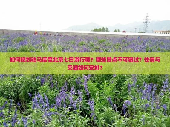 如何规划驻马店至北京七日游行程？哪些景点不可错过？住宿与交通如何安排？