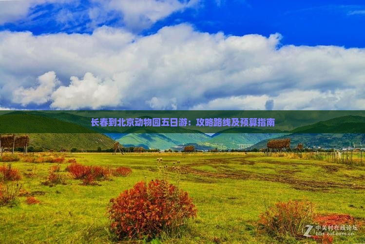 长春到北京动物园五日游：攻略路线及预算指南