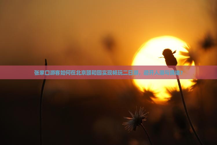 张家口游客如何在北京颐和园实现畅玩二日游，避开人潮与拥堵？