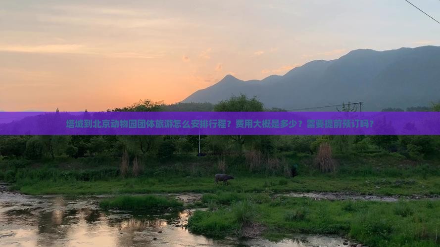 塔城到北京动物园团体旅游怎么安排行程？费用大概是多少？需要提前预订吗？