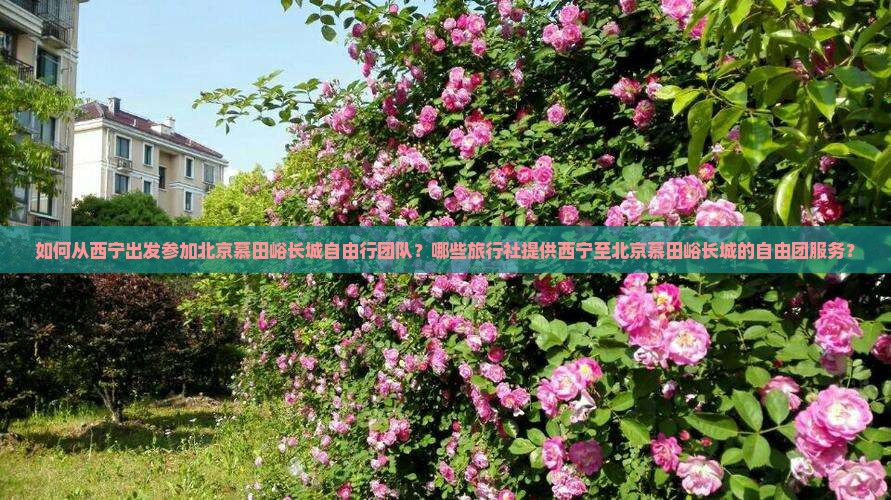 如何从西宁出发参加北京慕田峪长城自由行团队？哪些旅行社提供西宁至北京慕田峪长城的自由团服务？