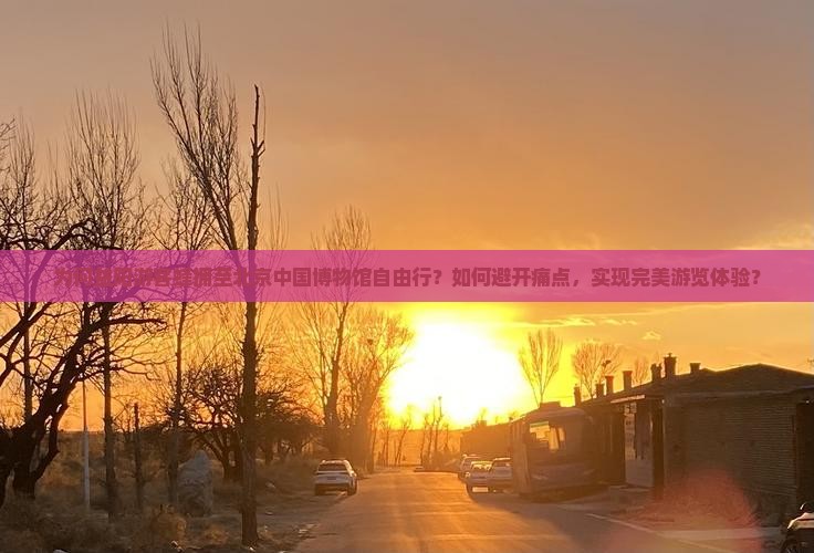 为何益阳游客蜂拥至北京中国博物馆自由行？如何避开痛点，实现完美游览体验？