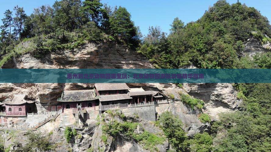 惠州到北京动物园哪里玩：北京动物园游玩攻略精华指南