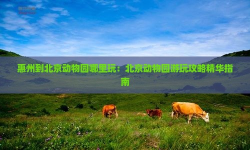 惠州到北京动物园哪里玩：北京动物园游玩攻略精华指南