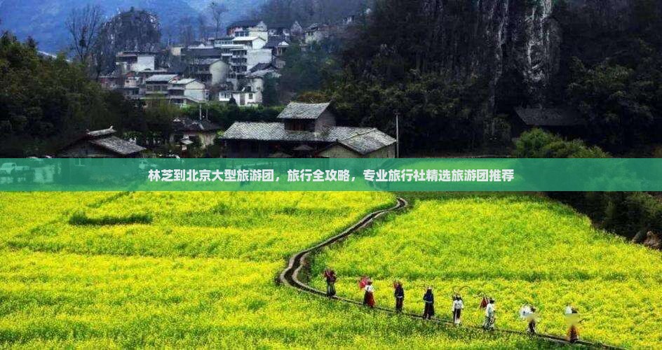 林芝到北京大型旅游团，旅行全攻略，专业旅行社精选旅游团推荐
