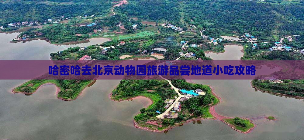 哈密哈去北京动物园旅游品尝地道小吃攻略