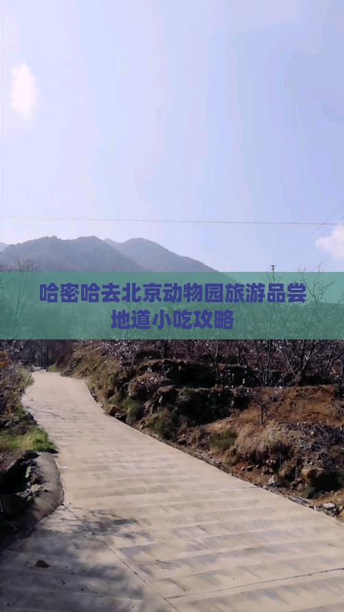 哈密哈去北京动物园旅游品尝地道小吃攻略