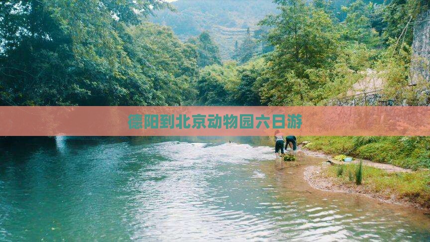 德阳到北京动物园六日游
