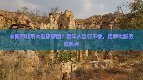 襄阳到北京大型旅游团？老年人出行不便，定制化服务成热点