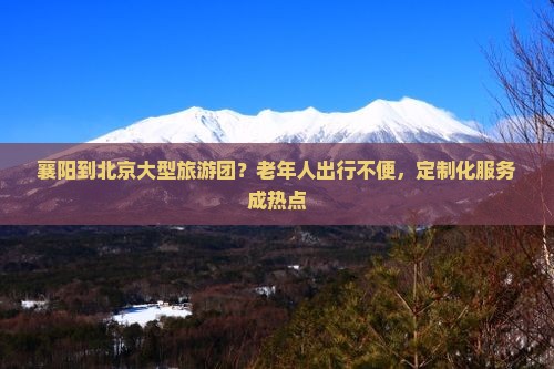 襄阳到北京大型旅游团？老年人出行不便，定制化服务成热点
