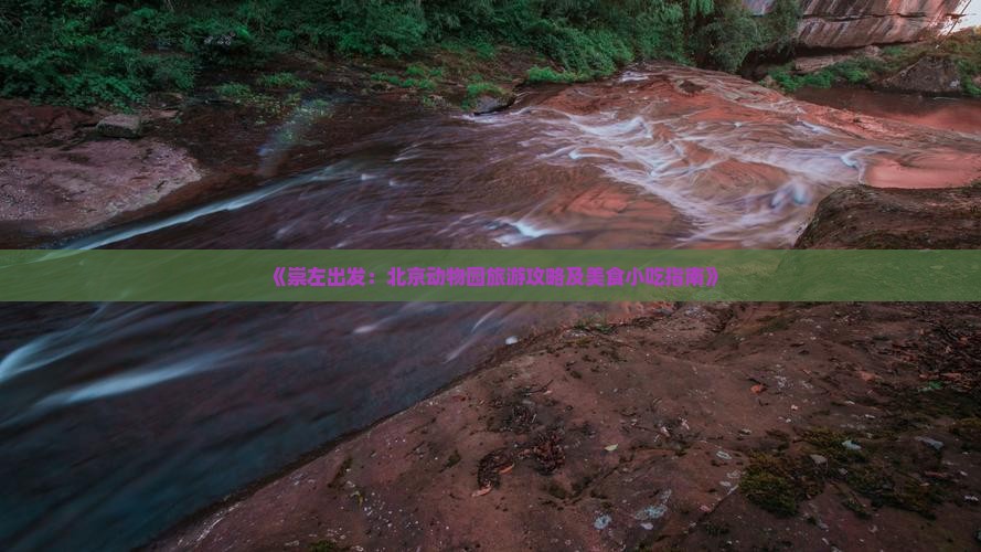 《崇左出发：北京动物园旅游攻略及美食小吃指南》