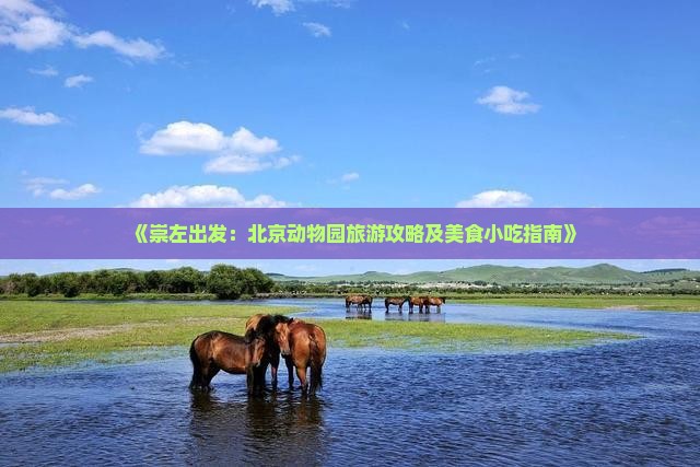 《崇左出发：北京动物园旅游攻略及美食小吃指南》