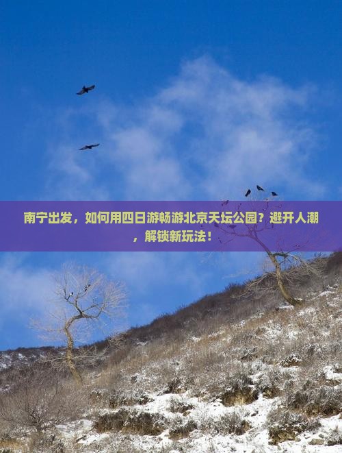 南宁出发，如何用四日游畅游北京天坛公园？避开人潮，解锁新玩法！