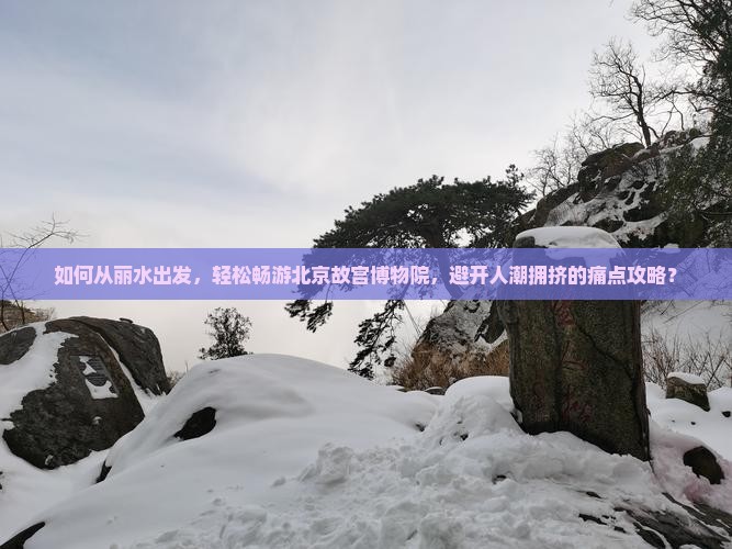 如何从丽水出发，轻松畅游北京故宫博物院，避开人潮拥挤的痛点攻略？