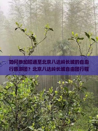 如何参加昭通至北京八达岭长城的自由行旅游团？北京八达岭长城自由团行程安排及预订方式介绍