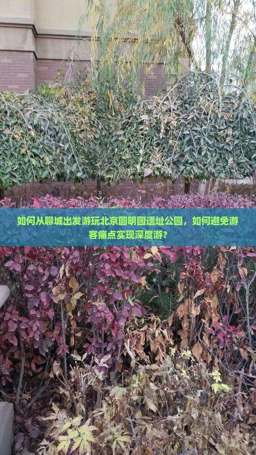 如何从聊城出发游玩北京圆明园遗址公园，如何避免游客痛点实现深度游？