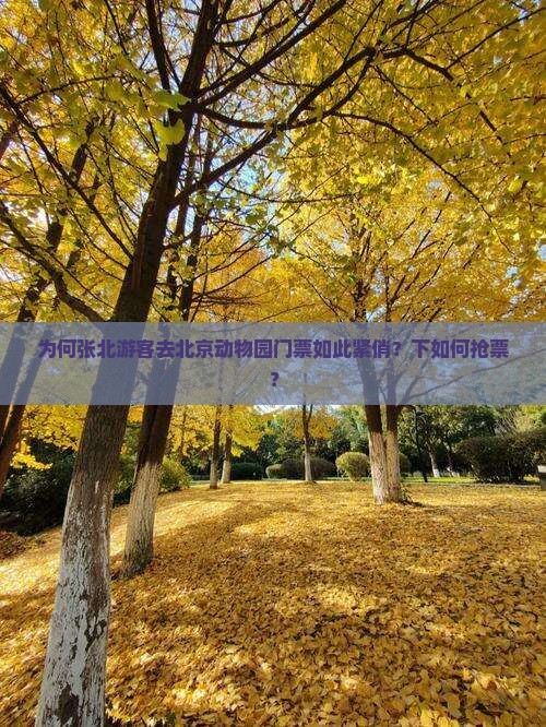 为何张北游客去北京动物园门票如此紧俏？下如何抢票？
