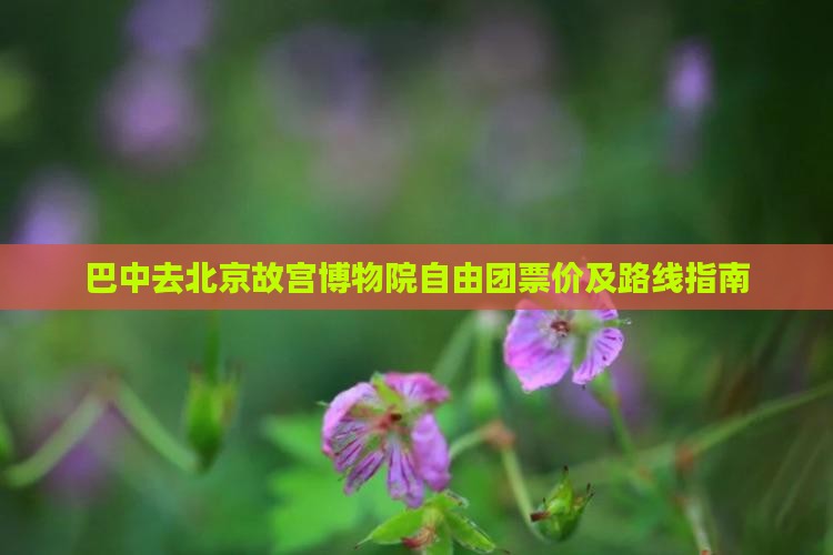 巴中去北京故宫博物院自由团票价及路线指南