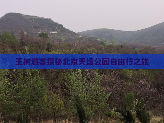 玉树游客探秘北京天坛公园自由行之旅