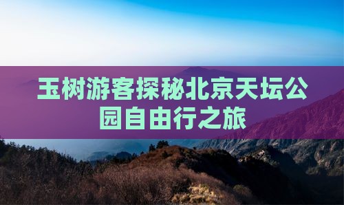 玉树游客探秘北京天坛公园自由行之旅