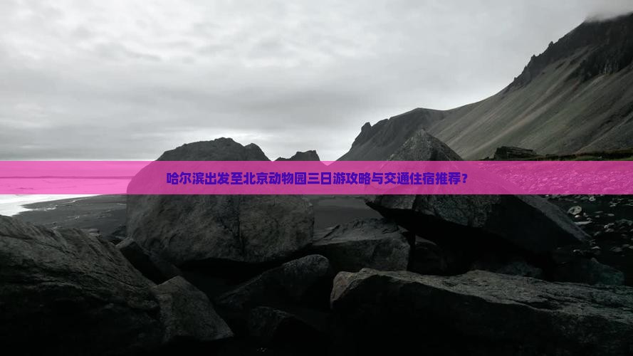哈尔滨出发至北京动物园三日游攻略与交通住宿推荐？