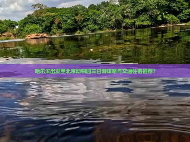 哈尔滨出发至北京动物园三日游攻略与交通住宿推荐？