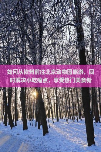 如何从钦州前往北京动物园旅游，同时解决小吃痛点，享受热门美食新体验？