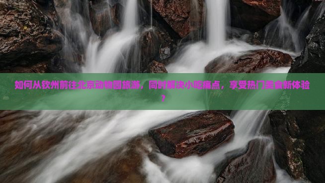 如何从钦州前往北京动物园旅游，同时解决小吃痛点，享受热门美食新体验？