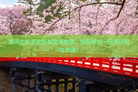 漯河出发至北京故宫博物院，如何规划一日游行程与交通？