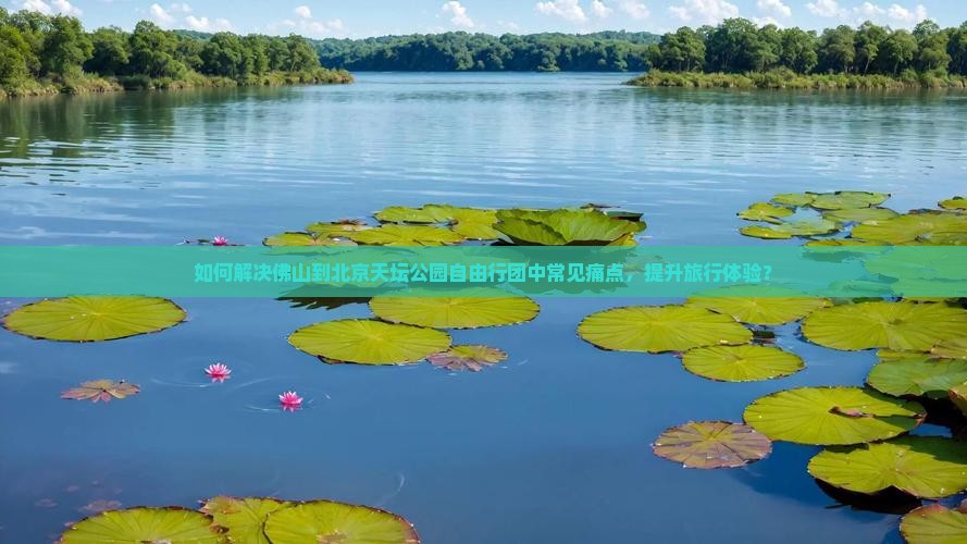 如何解决佛山到北京天坛公园自由行团中常见痛点，提升旅行体验？