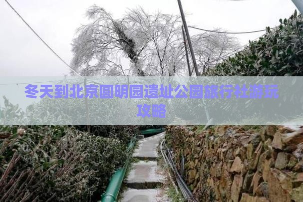 冬天到北京圆明园遗址公园旅行社游玩攻略