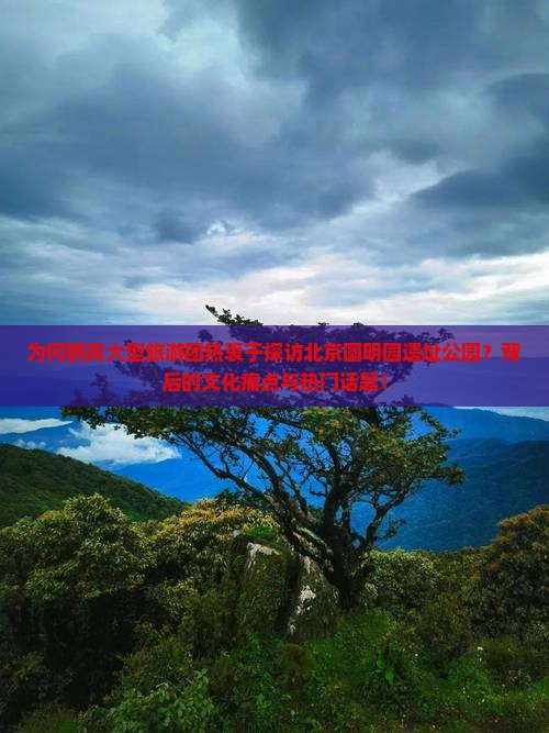 为何鹤岗大型旅游团热衷于探访北京圆明园遗址公园？背后的文化痛点与热门话题！