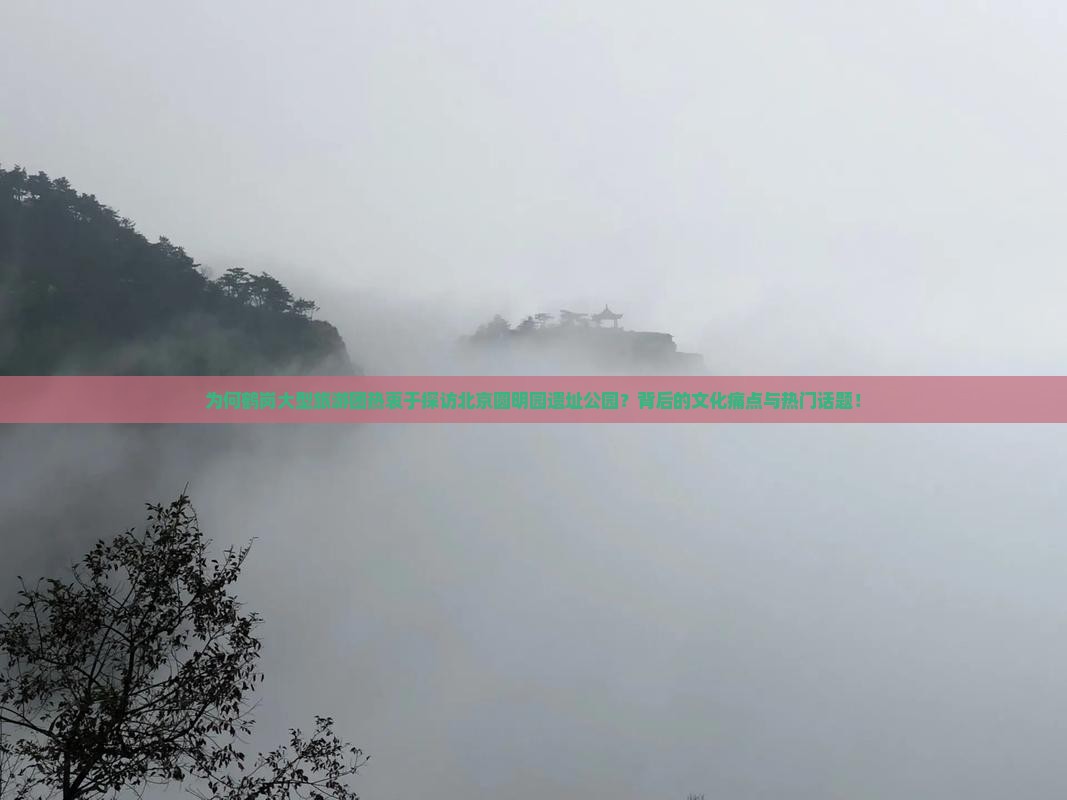 为何鹤岗大型旅游团热衷于探访北京圆明园遗址公园？背后的文化痛点与热门话题！