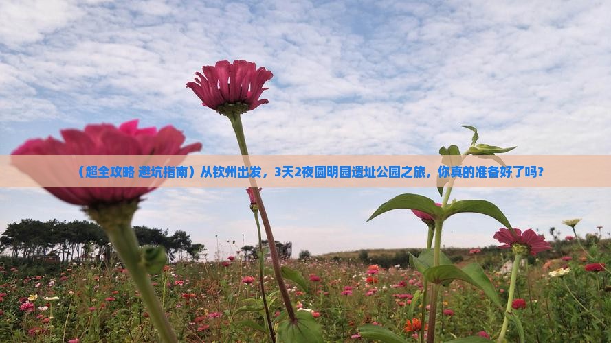 钦州到北京圆明园遗址公园三日游