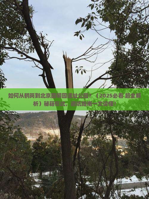 鹤岗到北京圆明园遗址公园旅游