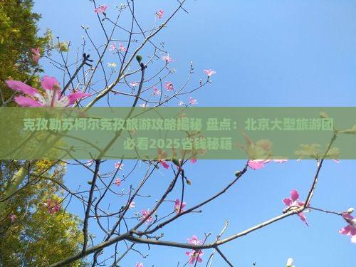 克孜勒苏柯尔克孜去北京大型旅游团