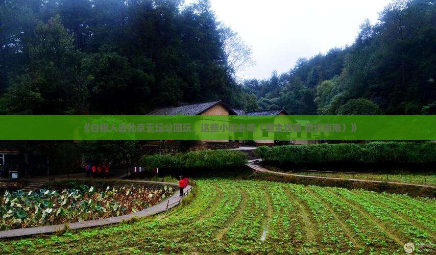 白银去北京天坛公园旅游小吃