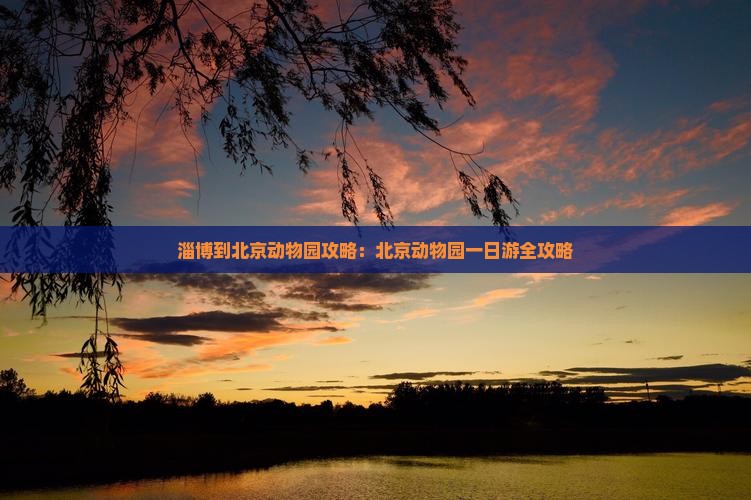 淄博到北京动物园攻略