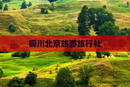 铜川去北京旅行社