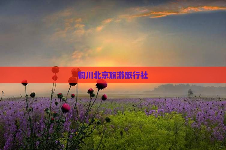 铜川去北京旅行社