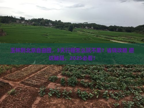 玉林到北京自由团