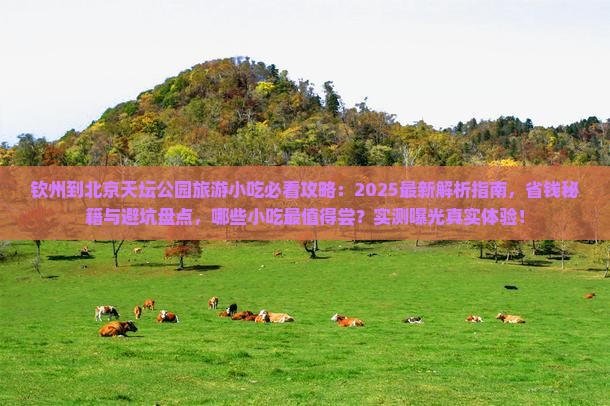 钦州到北京天坛公园旅游小吃