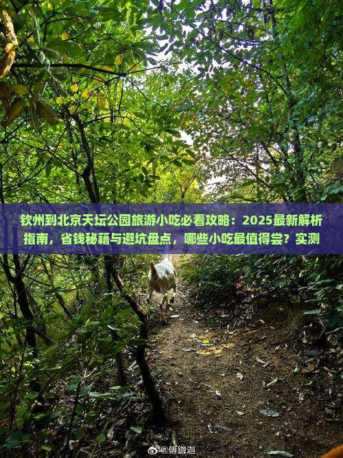 钦州到北京天坛公园旅游小吃