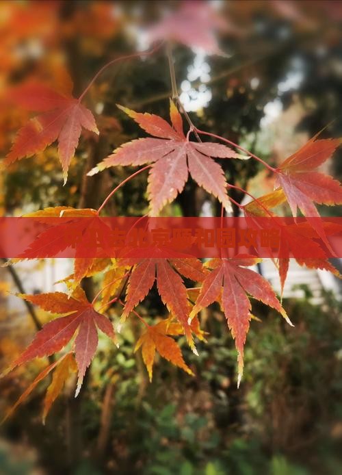 中卫去北京颐和园攻略