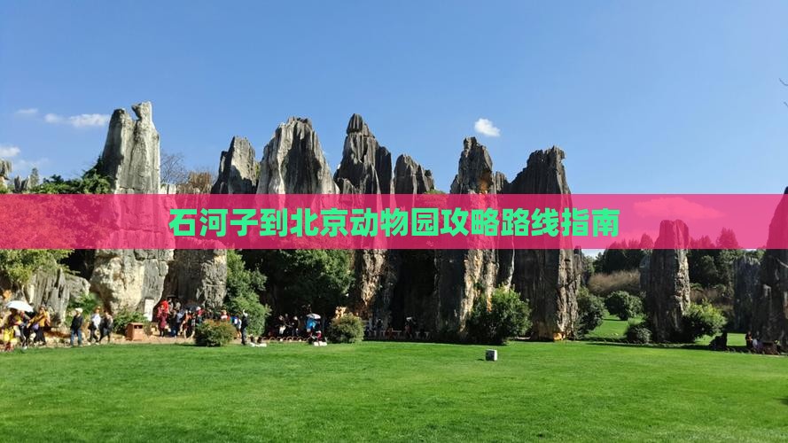 石河子到北京动物园攻略