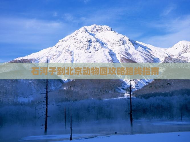 石河子到北京动物园攻略