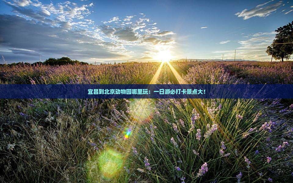 宜昌到北京动物园哪里玩