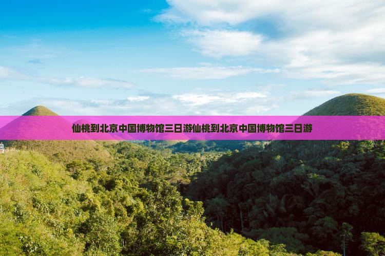 仙桃到北京中国国家博物馆三日游