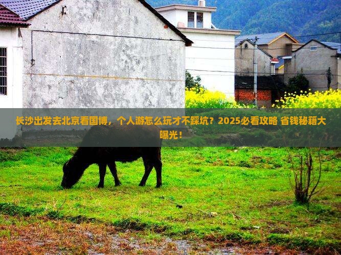长沙到北京中国国家博物馆个人游